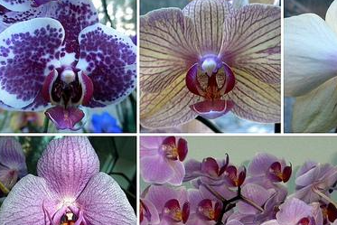 �����Ļ� �ʻ��Ǵ���Ȼ������������������