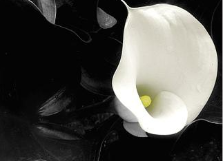 �����Ļ� �ʻ��Ǵ���Ȼ������������������