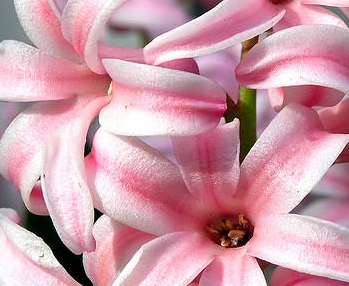 �����Ļ� �ʻ��Ǵ���Ȼ������������������