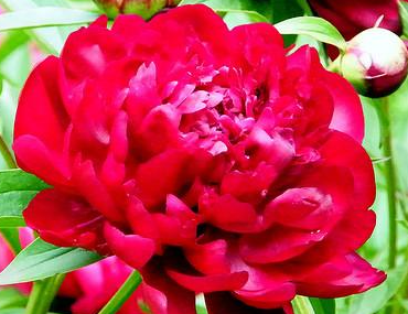 �����Ļ� �ʻ��Ǵ���Ȼ������������������