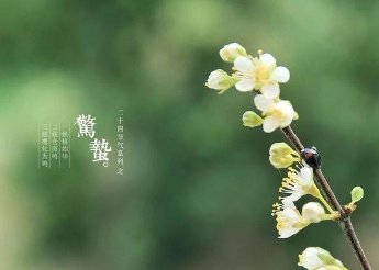 ������������ ����Ԣ����ʲô��˼