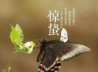 ������������ ����Ԣ����ʲô��˼