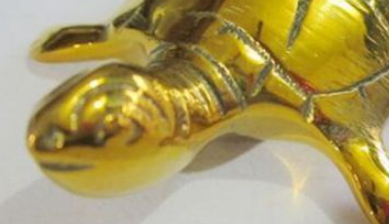 梦见金色乌龟是什么意思 关于"金乌龟"的数理吉凶分析