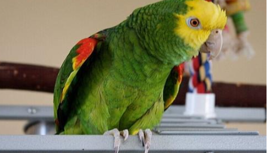 �ƹ�����ѷ������������ ��̬������������