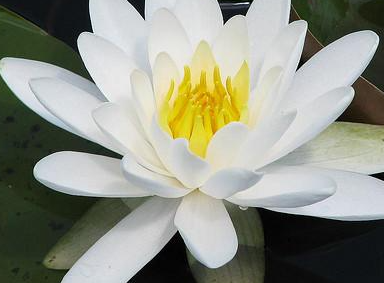 �����Ļ� �ʻ��Ǵ���Ȼ������������������