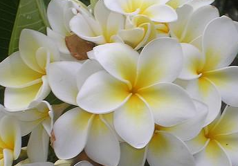 �����Ļ� �ʻ��Ǵ���Ȼ������������������