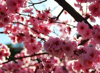 �����Ļ� �ʻ��Ǵ���Ȼ������������������