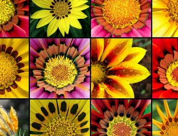 �����Ļ� �ʻ��Ǵ���Ȼ������������������