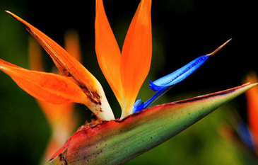 �����Ļ� �ʻ��Ǵ���Ȼ������������������