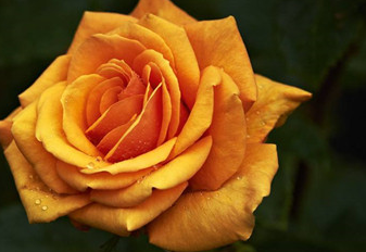 �����Ļ� �ʻ��Ǵ���Ȼ������������������