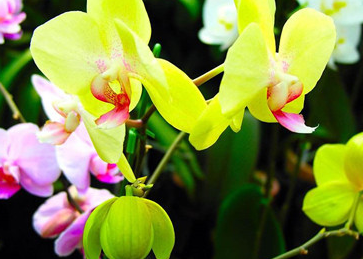 �����Ļ� �ʻ��Ǵ���Ȼ������������������