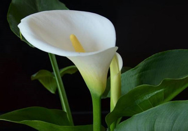 �����Ļ� �ʻ��Ǵ���Ȼ������������������