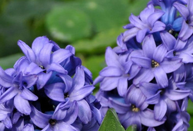 �����Ļ� �ʻ��Ǵ���Ȼ������������������