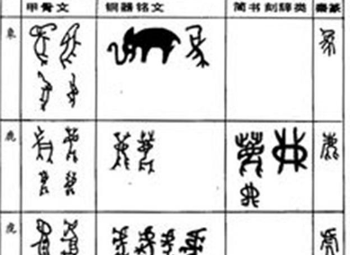 �⾳�������µĺ��� �����⾳����