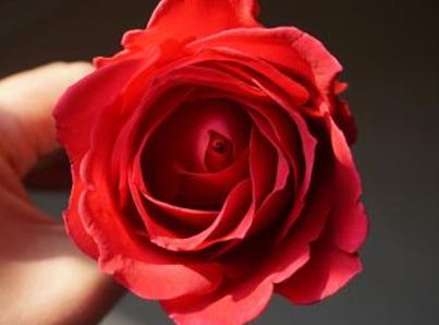 �����Ļ� �ʻ��Ǵ���Ȼ������������������