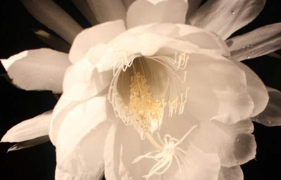 �����Ļ� �ʻ��Ǵ���Ȼ������������������