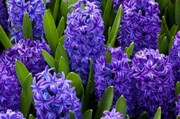 �����Ļ� �ʻ��Ǵ���Ȼ������������������