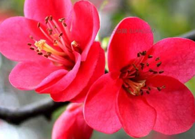 �����Ļ� �ʻ��Ǵ���Ȼ������������������