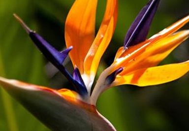 �����Ļ� �ʻ��Ǵ���Ȼ������������������