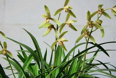 �����Ļ� �ʻ��Ǵ���Ȼ������������������