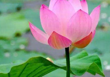 �����Ļ� �ʻ��Ǵ���Ȼ������������������