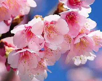 �����Ļ� �ʻ��Ǵ���Ȼ������������������