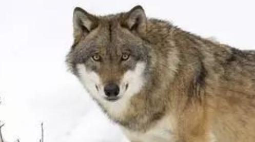 �ǵľ��� ���������ĺ�������