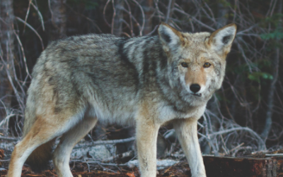 �ǵľ��� ���������ĺ�������