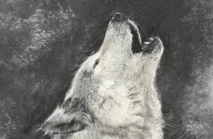 �ǵľ��� ���������ĺ�������