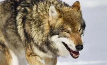 �ǵľ��� ���������ĺ�������