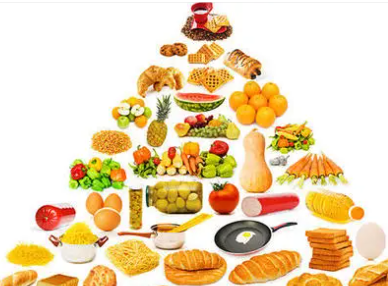 Ӫ��ѧ����֪ʶ ����Ӫ�������彡��֮��