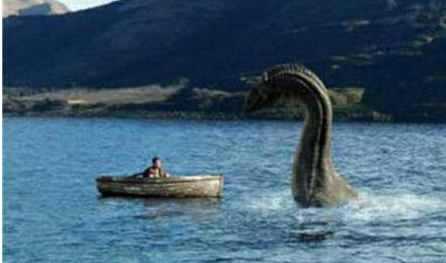 ���粻����ʮ������ ʮ�����������Ŀֲ�����