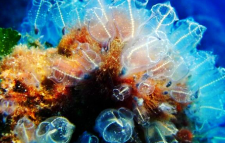 ���������������������� ���ݺ�����һ��ֳ��صĺ���