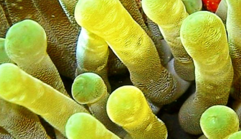 ���������������������� ���ݺ�����һ��ֳ��صĺ���