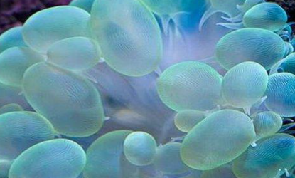 ���������������������� ���ݺ�����һ��ֳ��صĺ���