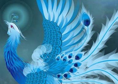 ʮ������ר�������� ��Ҷ���Ҫ��һֻ����