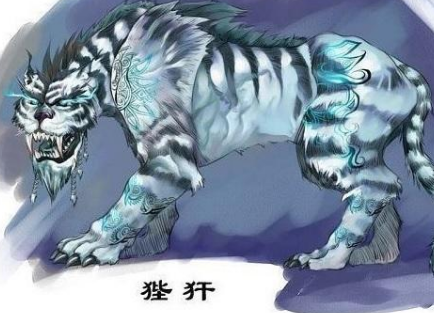 ʮ������ר�������� ��Ҷ���Ҫ��һֻ����