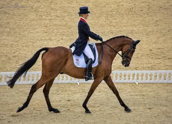 奥运会最奇怪的项目是什么 活鸽射击项目会被废止