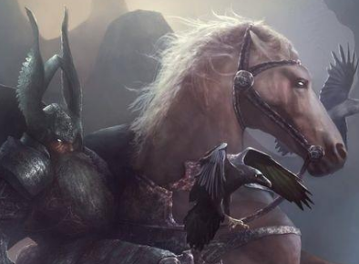 ʮ������ר�������� ��Ҷ���Ҫ��һֻ����