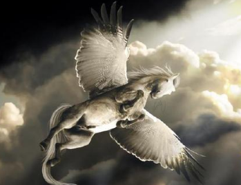 ʮ������ר�������� ��Ҷ���Ҫ��һֻ����