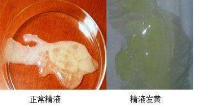 �������˾�����ɫ���� ������ɫ�����ɫ�����ǵ���ɫ