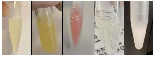 �������˾�����ɫ���� ������ɫ�����ɫ�����ǵ���ɫ