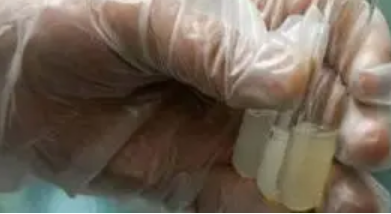 �������˾�����ɫ���� ������ɫ�����ɫ�����ǵ���ɫ