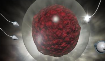 �������˾�����ɫ���� ������ɫ�����ɫ�����ǵ���ɫ