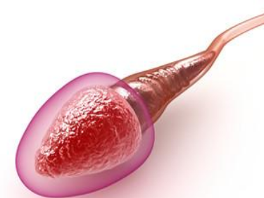 �������˾�����ɫ���� ������ɫ�����ɫ�����ǵ���ɫ