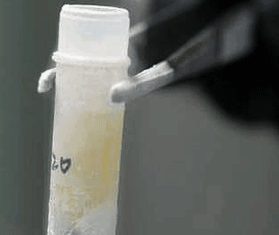 �������˾�����ɫ���� ������ɫ�����ɫ�����ǵ���ɫ