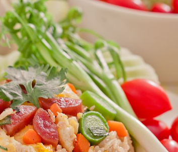 ����Ӫ����ʳ�״�ȫ �����岹����Ҫ��Ӫ��