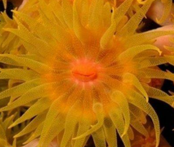 ���������������������� ���ݺ�����һ��ֳ��صĺ���