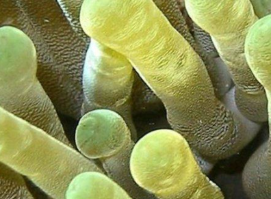 ���������������������� ���ݺ�����һ��ֳ��صĺ���