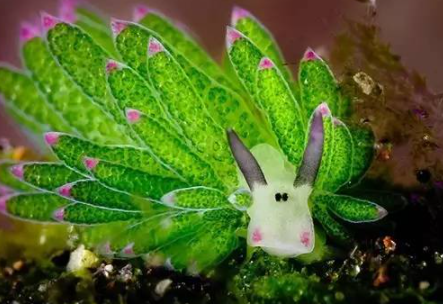 ���������������������� ���ݺ�����һ��ֳ��صĺ���